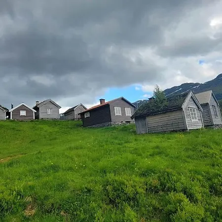 Unikt Og Romslig Hus Perfekt For Grupper Σπίτι διακοπών Nordfjordeid